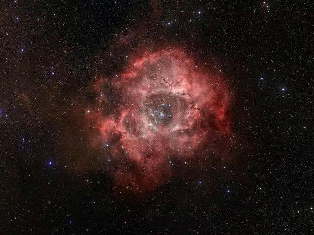 ROSE NEBULA - CANDLE